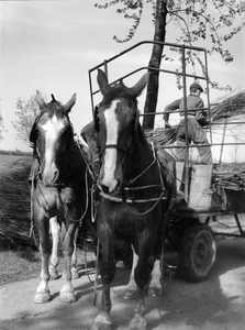 361003 Afbeelding van twee paarden met een wagen en enkele rietsnijders, vermoedelijk in de omgeving van Utrecht.